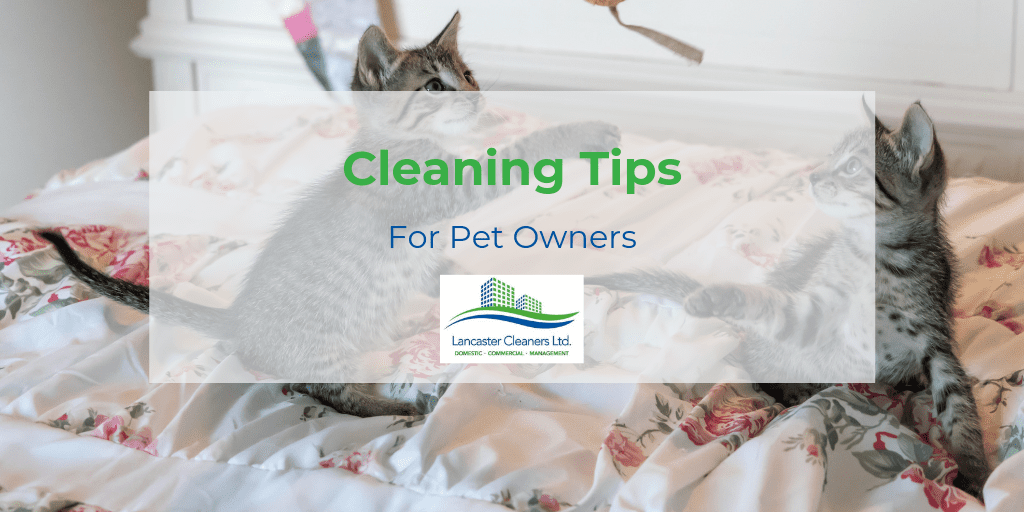 Cleaning Tips For Pet Owners